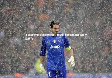 皇冠官方网|十岁NEST与晋江缔结联盟，数字化引擎助推福建体育产业腾飞